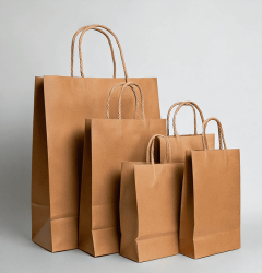 Kraft bags with handles