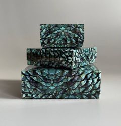 podarunkovi-korobki-green-snake